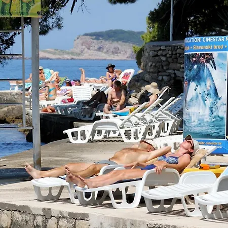 Seaside Holiday House Cavtat, Dubrovnik - 9113 Cavtat