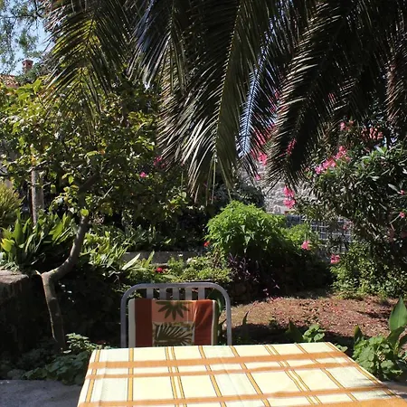 Holiday home Seaside Holiday House Cavtat, Dubrovnik - 9113 *