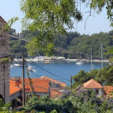 Holiday home Seaside Holiday House Cavtat, Dubrovnik - 9113 *
